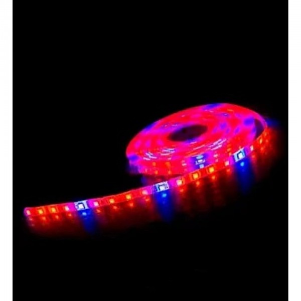 Світлодіодна фітострічка вологозахищена 12V 12W 60SMD 5050 18LM IP65 1m (LM870) (9350095)