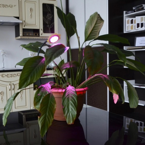 Фітосвітильник для рослин LED IP53 LED-36/3W Fito GROW (L128-001)