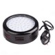 Бра LED фито для растений LED-46/50W 50 pcs IP20 GROW (L137-004)