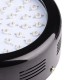 Бра LED фито для растений LED-46/50W 50 pcs IP20 GROW (L137-004)