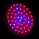 Бра LED фито для растений LED-46/50W 50 pcs IP20 GROW (L137-004)