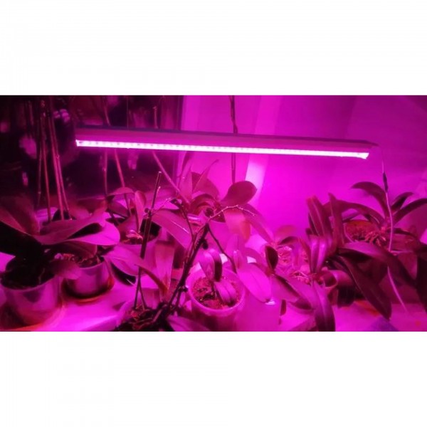 Фітолампа для рослин 18W G13 Т8 Fito GROW (Red: Blue = 5:1) 220V (L137-007)