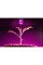 Фітолампа для зростання та формування коренів LED E27 7W Fito GROW (Full Spectrum = 9: 1) 220V (L137-011)