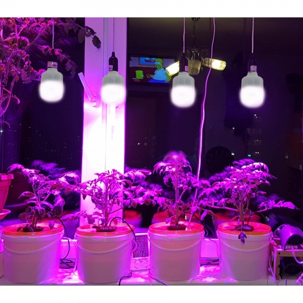 Фітолампа для зростання та формування коренів LED E27 12W Fito GROW (Full Spectrum=9:1) 220V (L137-013)