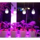 Фитолампа для роста и формирования корней LED E27 15W Fito GROW (Full Spectrum = 9:1) 220V (L137-014)