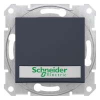 Кнопочный выключатель Sedna Scnheider Electric с подсветкой и полем для маркировки графита (SDN1600370)