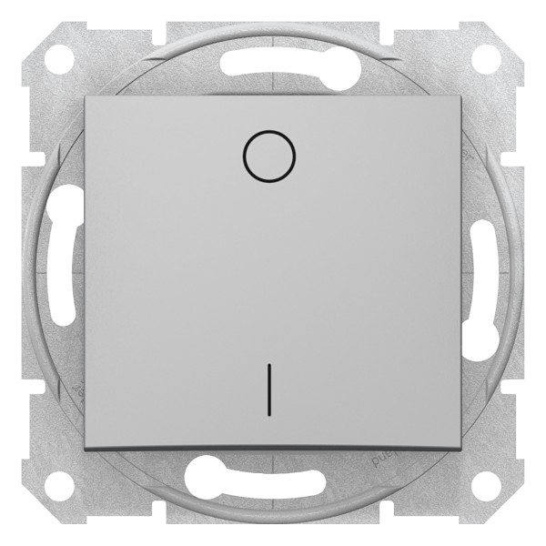 2-х полюсный одноклавишный выключатель Sedna Schneider Electric алюминий (SDN0200160)