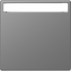 D-Life Клавиша с полем для надписи Нержавеющая сталь (MTN3360-6036)