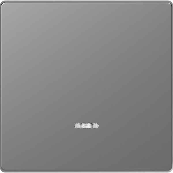 D-Life Клавіша 1-на для LED Нержавіюча сталь (MTN3320-6036)