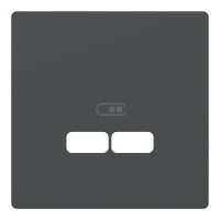 D-Life Центральная накладка USB Антрацит (MTN4367-6034)