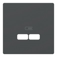 D-Life Центральна накладка USB Антрацит (MTN4367-6034)