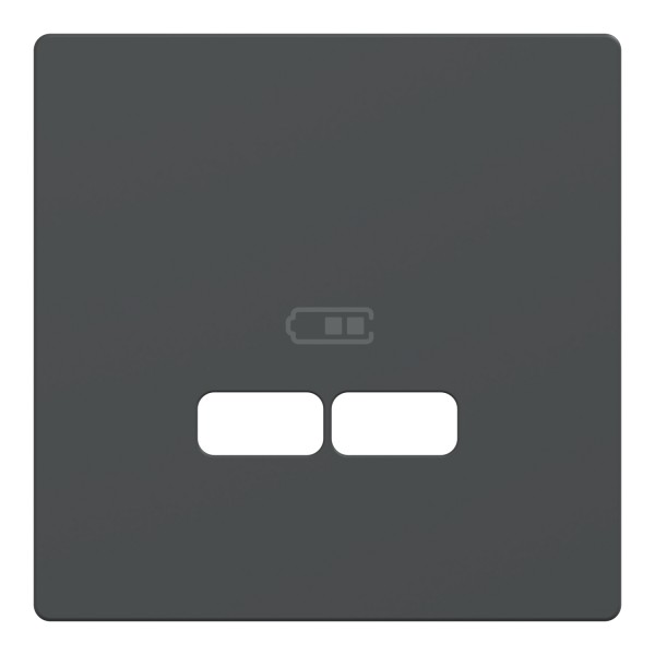 D-Life Центральная накладка USB Антрацит (MTN4367-6034)