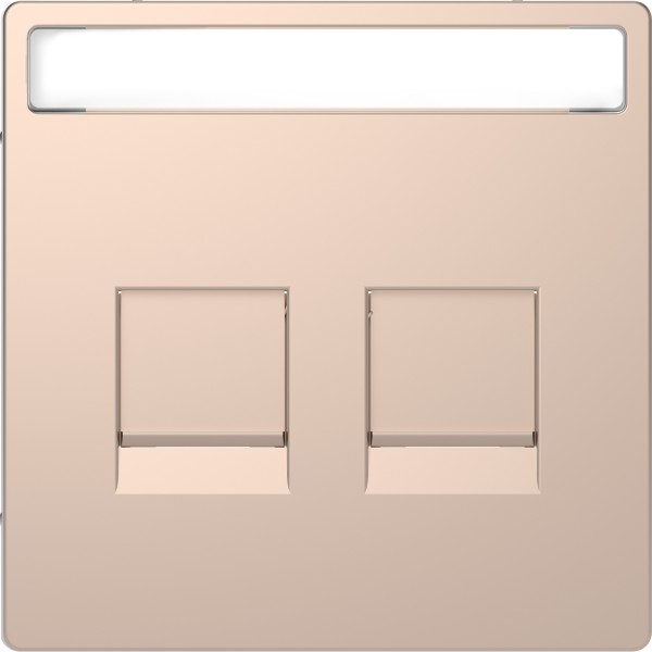 D-Life Центральна накладка 2-модульний роз'єм Шампань (MTN4564-6051)
