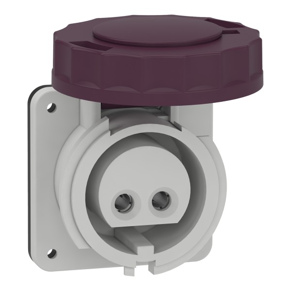 Розетка панельного монтажу пряма 16A 2P 20/25В (82951)