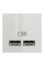 Розетка USB подвійна 2.1А 2 модулі білий (NU341818)