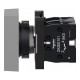 Двухголовая кнопка, Easy Harmony XA2, пластик, 22 мм, 1NO + 1NC (XA2EA7A3415)