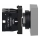 Двухголовая кнопка, Easy Harmony XA2, пластик, 22 мм, 1NO + 1NC (XA2EA7A3415)