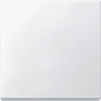 Накладка 1-клавішного вимикача SysM полярно-білий стійка до подряпин (434119)