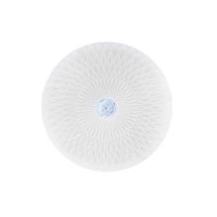 Світлодіодний світильник потолочний RADIUS-36 (027-012-0036-010)